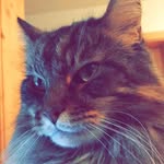Jackson Plattner - @jackson_plattner - Instagram