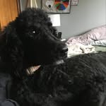 Jackson Plume - @jackson.plume - Instagram