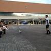 Jackson Pool - @jacksonpool2002 - TikTok