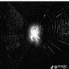 Jackson Poole - @jackson.poole7 - TikTok