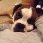 Jackson Pope - @jackson5267 - Instagram