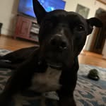 Jackson pope - @jpope1352 - Instagram