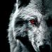Jackson Pope - Facebook
