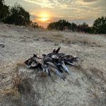 Jackson Potts - @ja_potts9 - Instagram