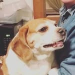 coltonjacksonpritchett - @coltonjacksonpritchett - Instagram