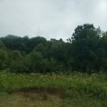 Jackson Probst - @jacksonaveryprobst - Instagram