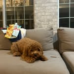 Jackson proctor - @jacksonproctor78 - Instagram