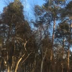 Jackson Putnamescu - @jacksonputnamescu - Instagram