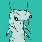Jackson Pye - @jackson_pye - Instagram