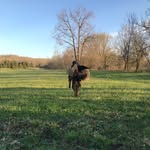 Jackson Ramsey - @jacksonramsey - Instagram