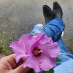 Maverick Jackson - @jacksonrandall1309 - Instagram
