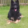 Raymond Jackson - @raymond.jackson34 - TikTok