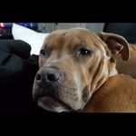 Jackson Reich - @jacksonreich5 - Instagram
