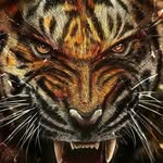 jacksonrichter23345 - @jacksonrichter22334 - Instagram