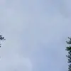 ruby - @jackson.rider12 - TikTok