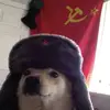 jacksonrieger - @dark2938475610 - TikTok