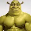 jacksonrife0 - @jacksonrife0 - TikTok