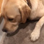 yuri tarted - @jacksonrifespam - Instagram