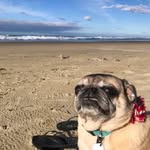 Jackson Ritchie - @jacksonritchie45 - Instagram