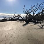 Jackson Roach - @jacksonroach13 - Instagram