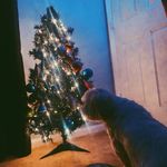 Jackson Roach - @jack_roach16 - Instagram