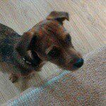 Jackson Robbins - @jackson_robbins_ - Instagram