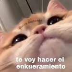 Jackson Robles gomez - @jacksonrobl - Instagram