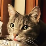 Jackson Roche - @jackson_lax176 - Instagram