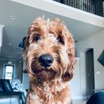 Jackson Roman - @mr.jackson.roman - Instagram
