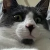 jackson romanoski - @jacksonromanoski - TikTok