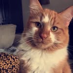 Jackson Rooney - @jacksonroons - Instagram