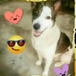 jackson rosales - @jacksonrosalesalbinoof - Instagram