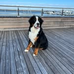 Jackson Roth - @jackson.blue.eye - Instagram