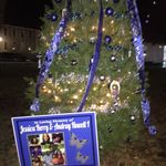 Jackson Roush - @hey.itzz.jackson.roush - Instagram