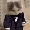 jacksonroush353 - @justjackjerkin - TikTok