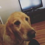 JAKE ROUSH🐾 - @jacksonroush - Instagram