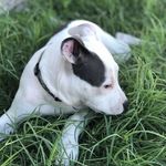 jackson ruiz - @jacksonruiz796 - Instagram