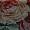 jacksonrusso100933 - @jacksonrusso100933 - TikTok