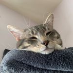 Mr. Jackson Rutherford Gray - @jackson_rutherford_gray - Instagram