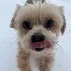 jacksonsavage_ - @jacksonsavage_ - TikTok