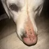 jacksonschaefer688 - @jackson_schaef - TikTok