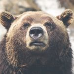 Daniel Jackson Schafer - @danieljacksonschafer - Instagram