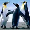 jacksonschutte3 - @jackson.schutte - TikTok
