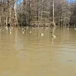 Jackson Seals - @jackson_sealsguideservice - Instagram