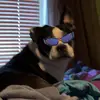 Jackson Shaffer - @jacksonshaffer1 - TikTok