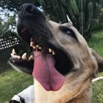 Jackson Shaffer - @jackson11405 - Instagram