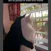 Shelly Jackson - @shelly.jackson8 - TikTok