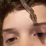 JacksonShowalter2019Span2 - @jacksonshowalter2019span2 - Instagram