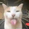 JacksonSikes - @jackyboooooo - TikTok