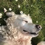 Jackson Simms - @jackson_tanner_simms - Instagram
